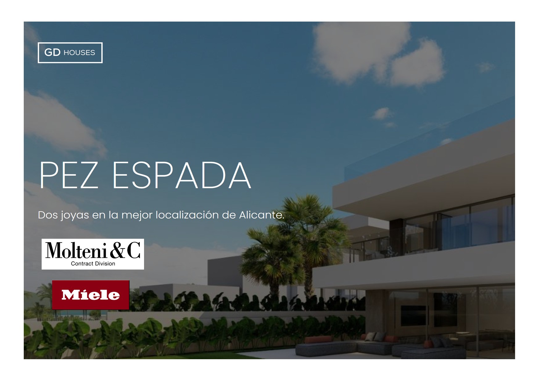 PROYECTO PEZ ESPADA 01